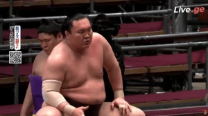 ცხრიდან ცხრა ! იოკოძუნა ჰაკუჰომ რიუდენი დაამარცხა (ვიდეო)