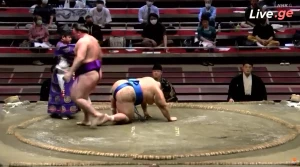 მეოთხე გამარჯვება ! ტოჩინოშინმა კოტოშოგიკუ დაამარცხა (ვიდეო)