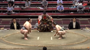 ენჰოს შიმპანებმა გამარჯვება წაართვეს (ვიდეო)