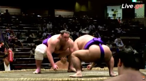 ტოჩინოშინის მეშვიდე გამარჯვება ივლისის ბაშოზე (ვიდეო)