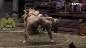 ტოჩინოშინის შესანიშნავი გამარჯვება ტაკაიასუსთან (ვიდეო)