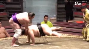 მეოთხე გამარჯვება ! ტოჩინოშინმა ოძეკი ტაკაკეიშო დაამარცხა (ვიდეო)