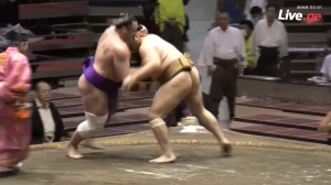 ტოჩინოშინს მოგებული ბრძოლა შიმპანებმა წაგებად ჩაუთვალეს (ვიდეო)