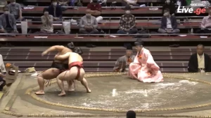 ენჰოს მეხუთე გამარჯვება აკი ბაშოზე (ვიდეო)