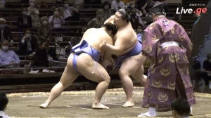 შოდაი აკი ბაშოს გამარჯვებულია (ვიდეო)