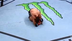 ხაბიბმა გეიჯისთან გამარჯვება ემოციურად აღნიშნა (ვიდეო)