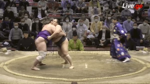 მეშვიდე გამარჯვება - ტოჩინოშინმა ჰიდენოუმი დაამარცხა (ვიდეო)