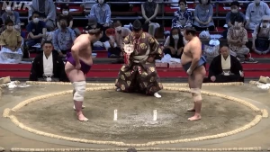 ტოჩინოშინის მეორე მოგება ნაგოია ბაშოზე | VIDEO