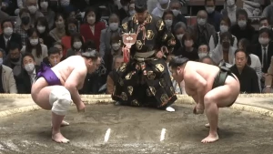 ტოჩინოშინის მეექვსე მარცხი იანვრის ბაშოზე | VIDEO