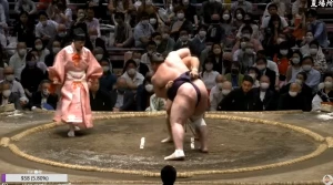 ტოჩინოშინის მეხუთე მარცხი მაისის ბაშოზე | VIDEO