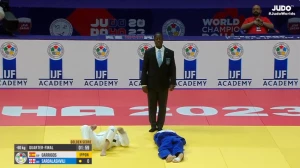 გიორგი სარდალაშვილი მსოფლიო ჩემპიონატის 1/4-ფინალში დამარცხდა |VIDEO