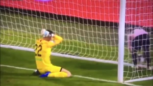 ერთ-ერთი ყველაზე კურიოზული ავტოგოლი (ვიდეო)