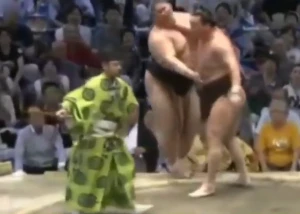 ბრძოლის შემდეგ ჰაკუჰომ იჩინოჯოს ხელი გაარტყა (ვიდეო)