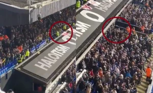 ინგლისელი გულშემატკივარი გოლის აღნიშვნის დროს ტრიბუნიდან გადმოვარდა