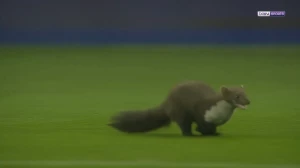 ტრაბზონი - რიზეს მატჩს დაუპატიჟებელი სტუმარი ეწვია