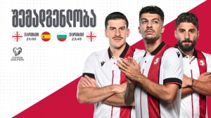 საქართველოს ნაკრების შემადგენლობა ნოემბრის შეხვედრებისთვის