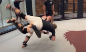 მერაბ დვალიშვილის გდება მარკ ცუკერბერგის წინააღმდეგ