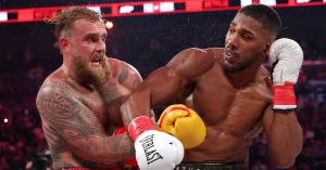 ენტონი ჯოშუამ ჯეიკ პოლი დაანოკაუტა