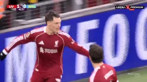 ფლორიან ვირცის გოლი ვულვზის კარში