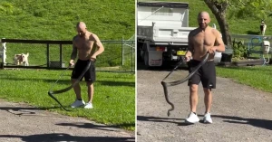 ვოლკანოვსკის ფერმაში გველებთან გამკლავებაც უწევს