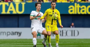 გიორგი მიქაუტაძის შეფასება ელჩეს წინააღმდეგ