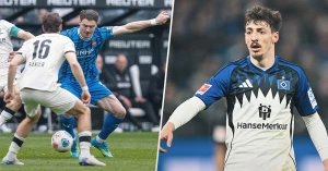 ბუდუ ზივზივაძის და გიორგი გოჩოლეიშვილის შეფასება